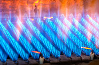 Culmstock gas fired boilers
